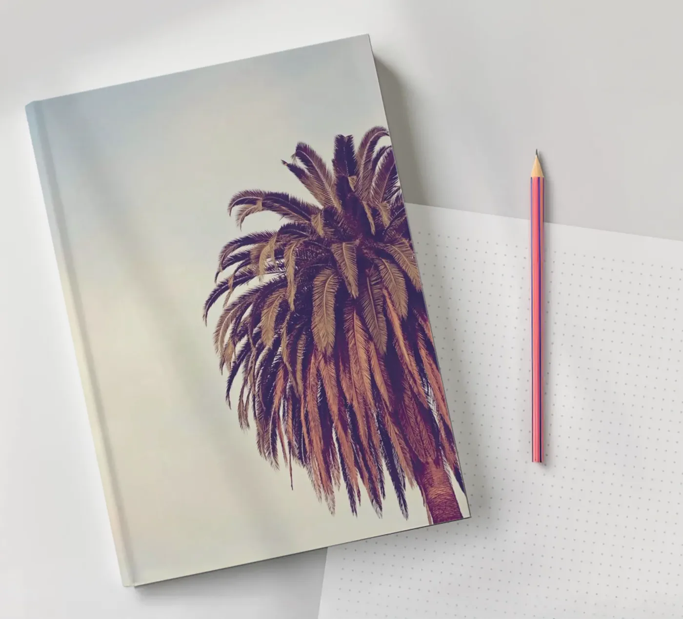 Escape Notizbuch von Catherine McDonald