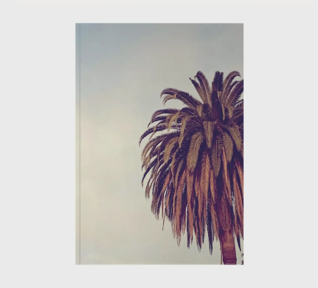 Escape notebook by Catherine McDonald