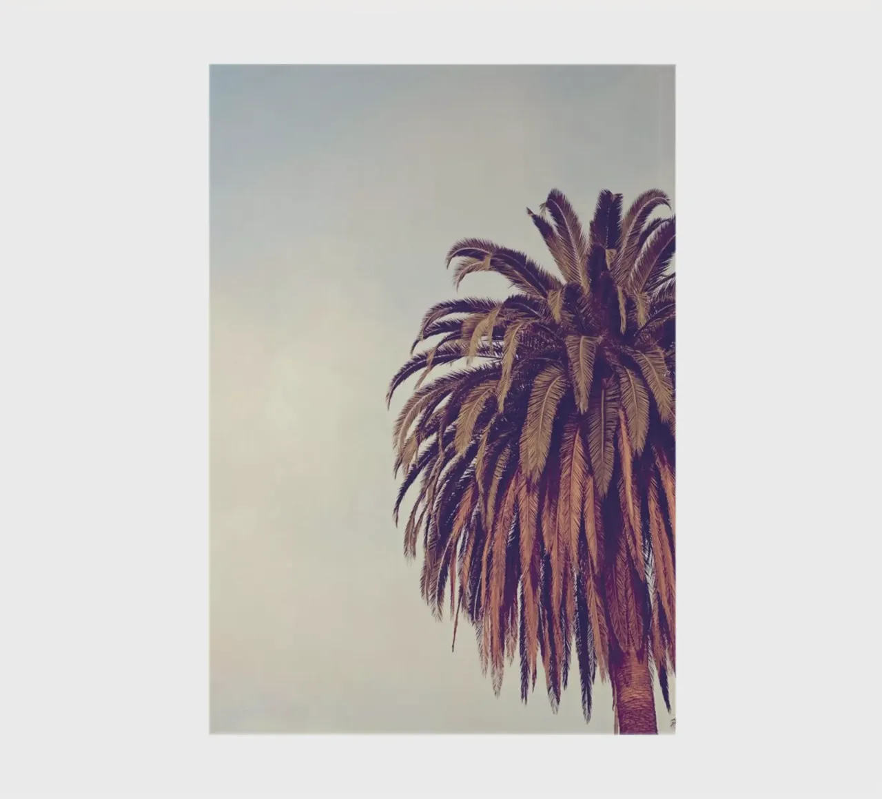 Escape notebook by Catherine McDonald