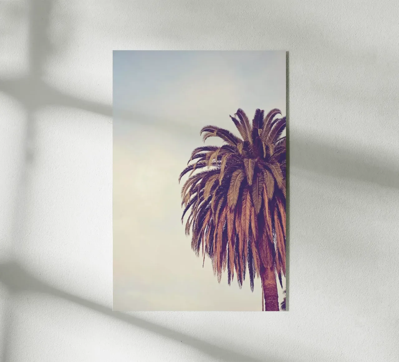 Escape plexiglass da Catherine McDonald