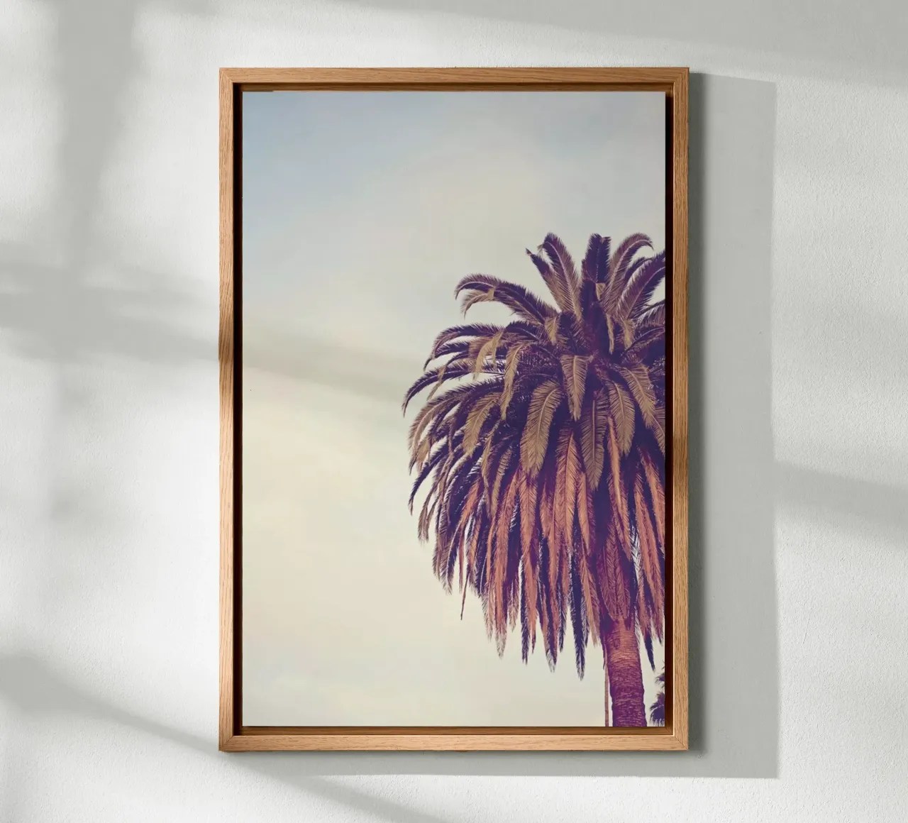 Escape pannello forex da Catherine McDonald