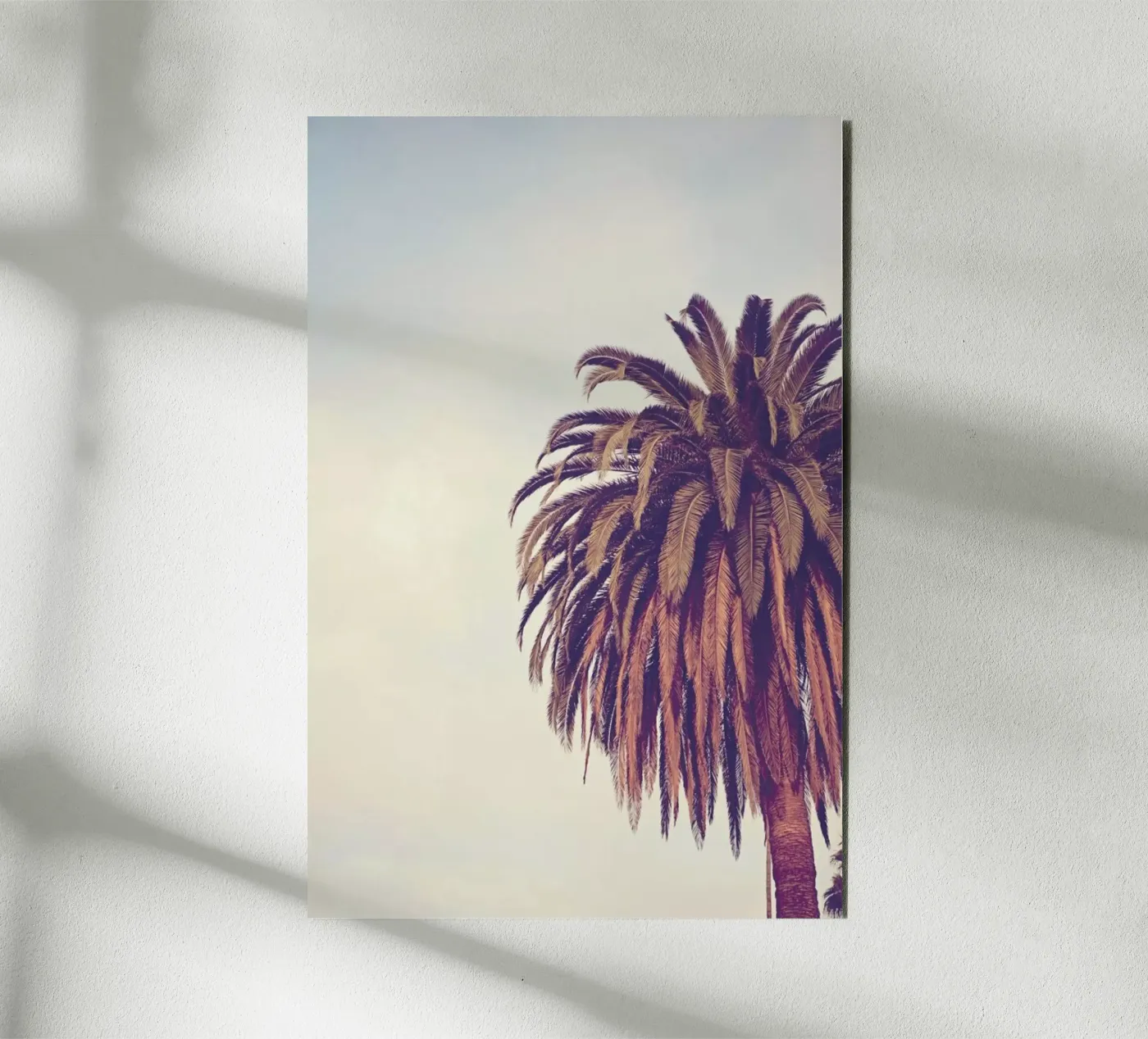 Escape forex plate by Catherine McDonald