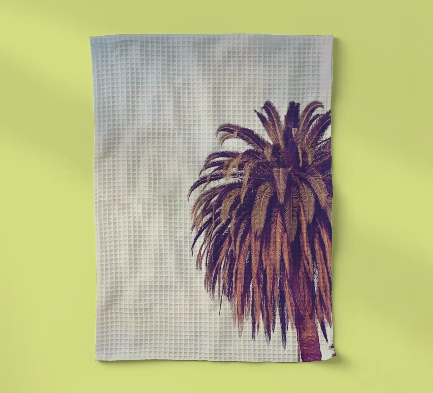 Escape canovaccio da cucina da Catherine McDonald