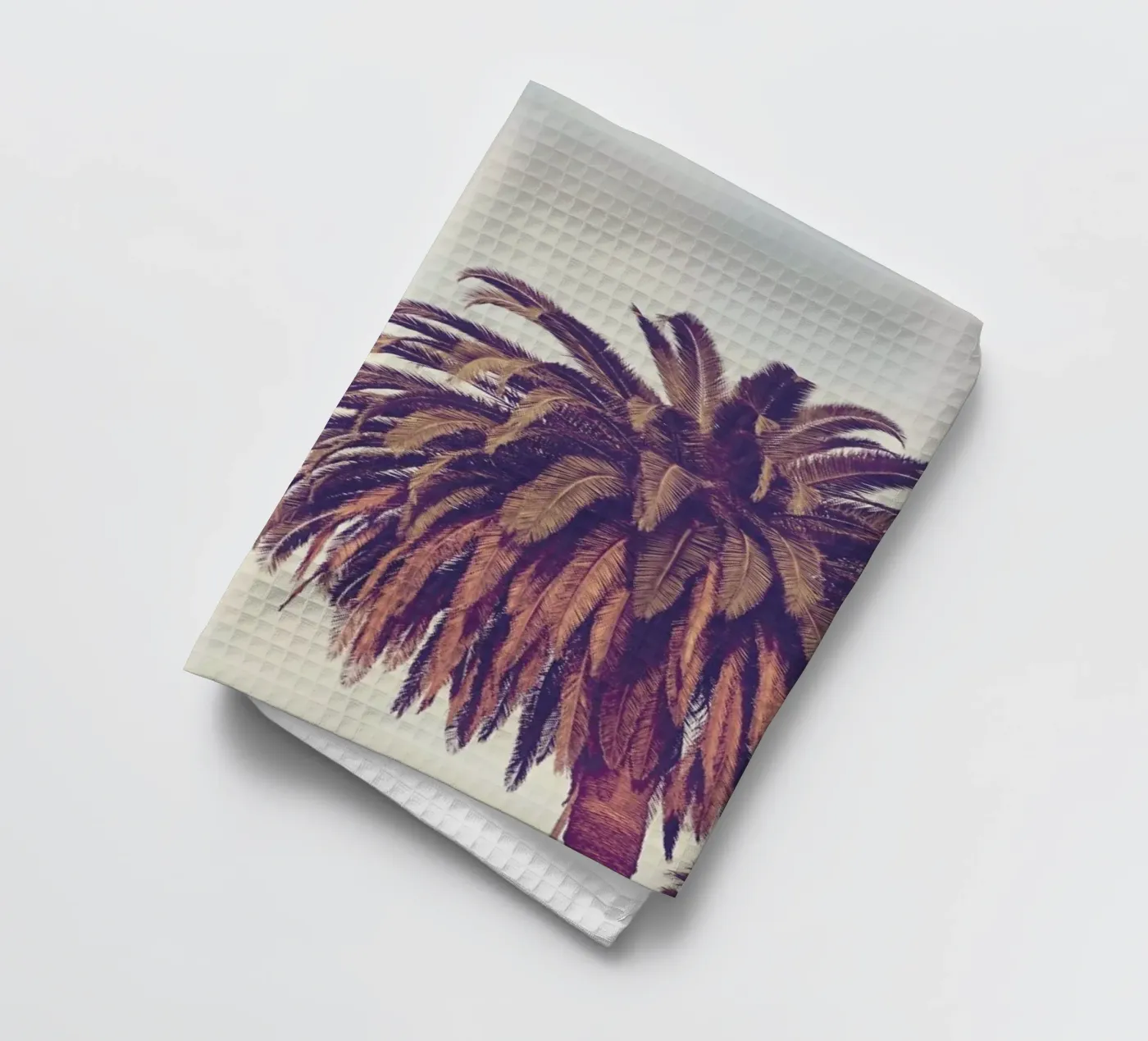 Escape canovaccio da cucina da Catherine McDonald