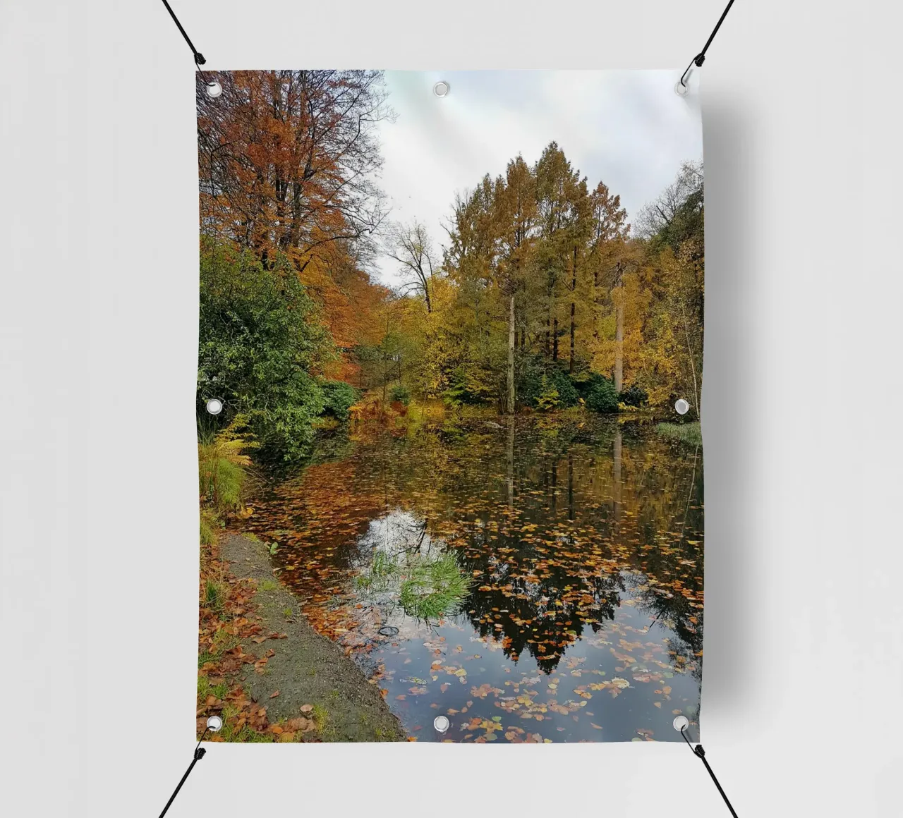 Autunno telo in pvc da Massimo Frascogna