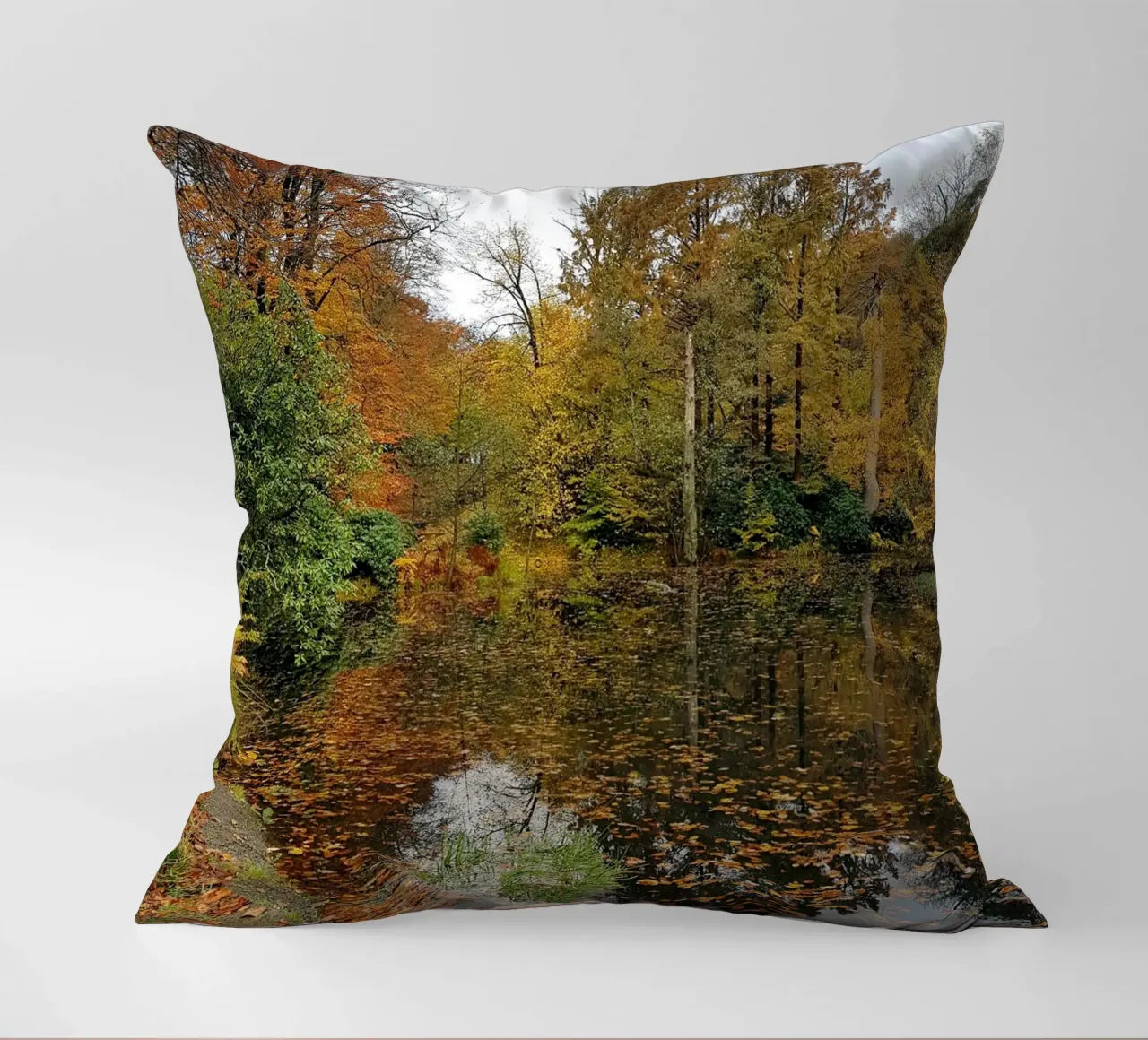 Autunno cuscino da Massimo Frascogna