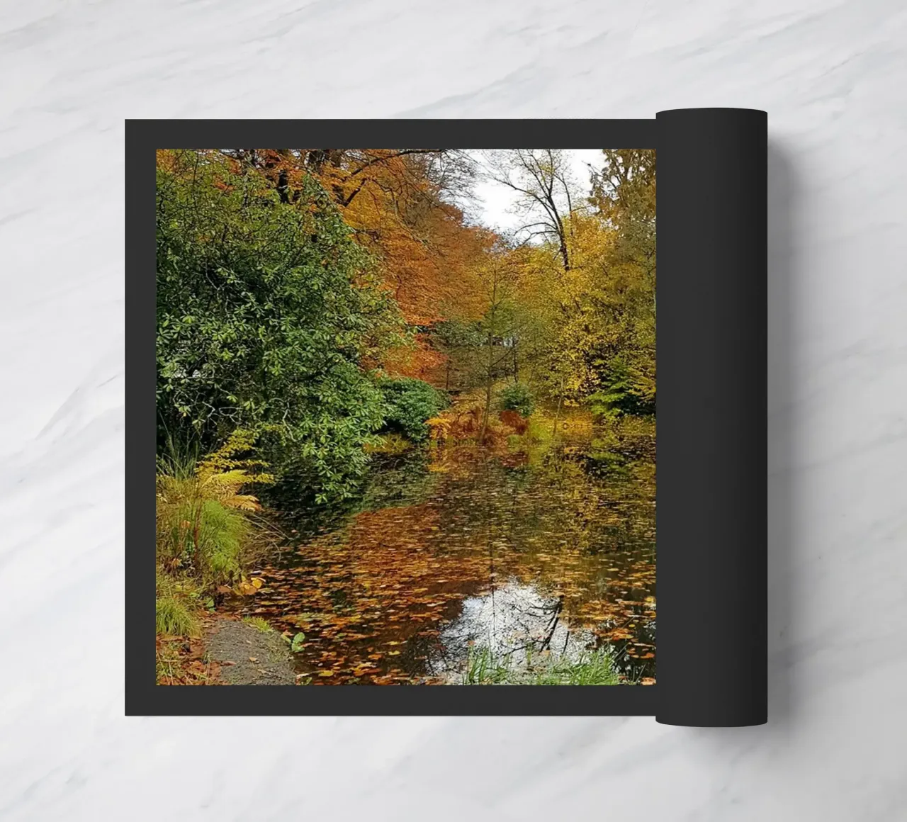 Autunno zerbino da Massimo Frascogna