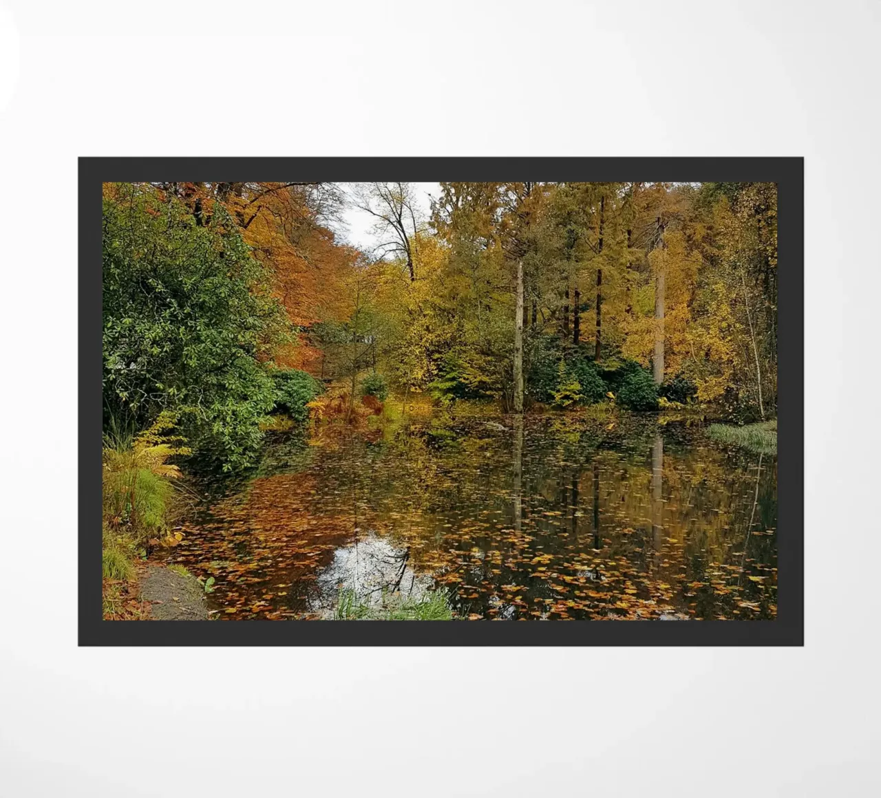 Autunno zerbino da Massimo Frascogna