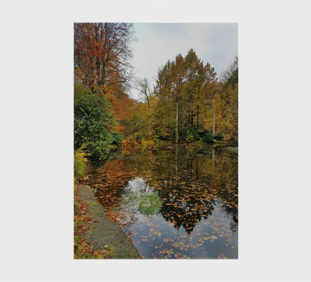 Autumn notebook by Massimo Frascogna