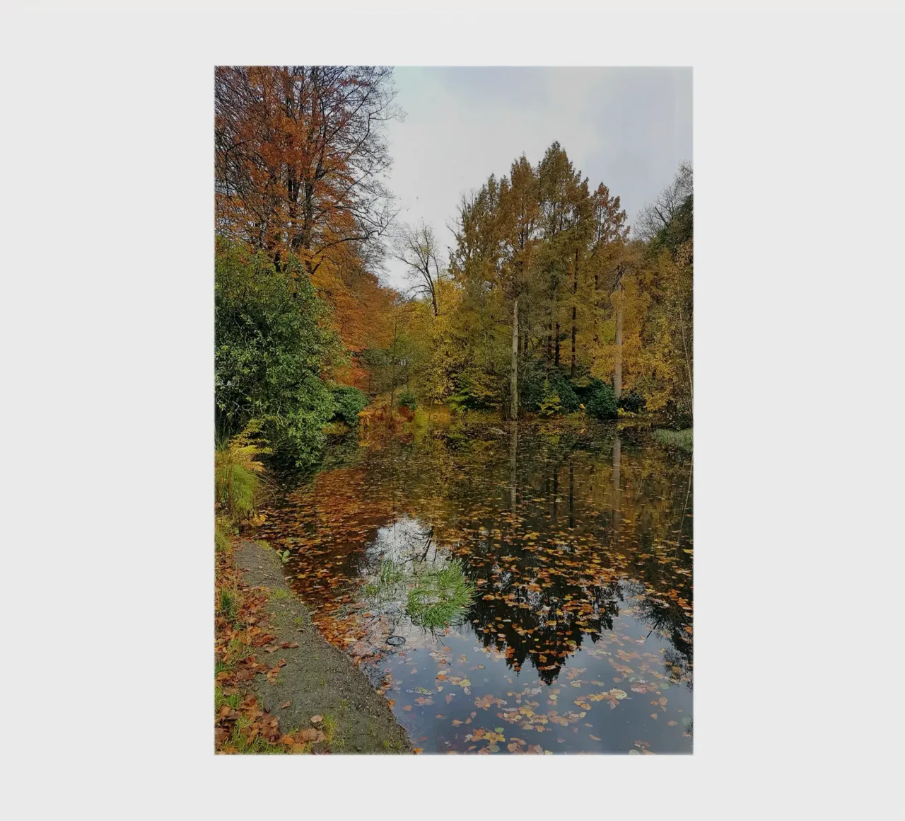Autumn notebook by Massimo Frascogna