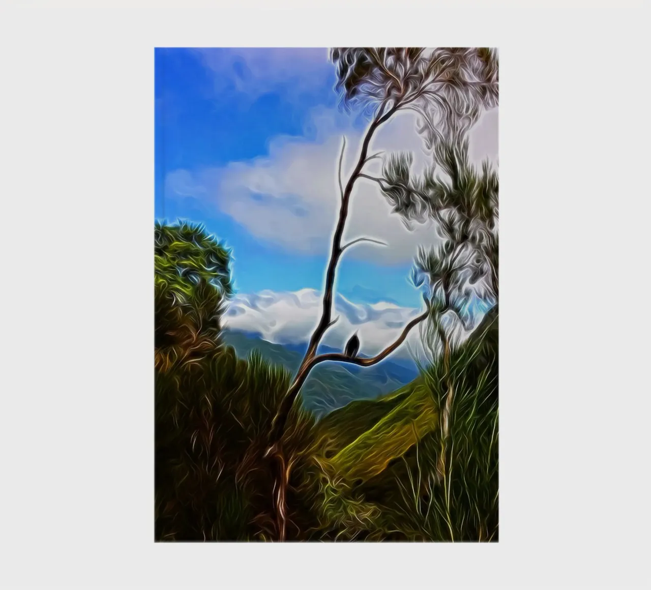 Bird in rest notebook by Massimo Frascogna