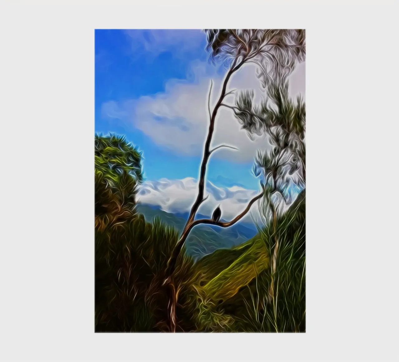 Bird in rest notebook by Massimo Frascogna