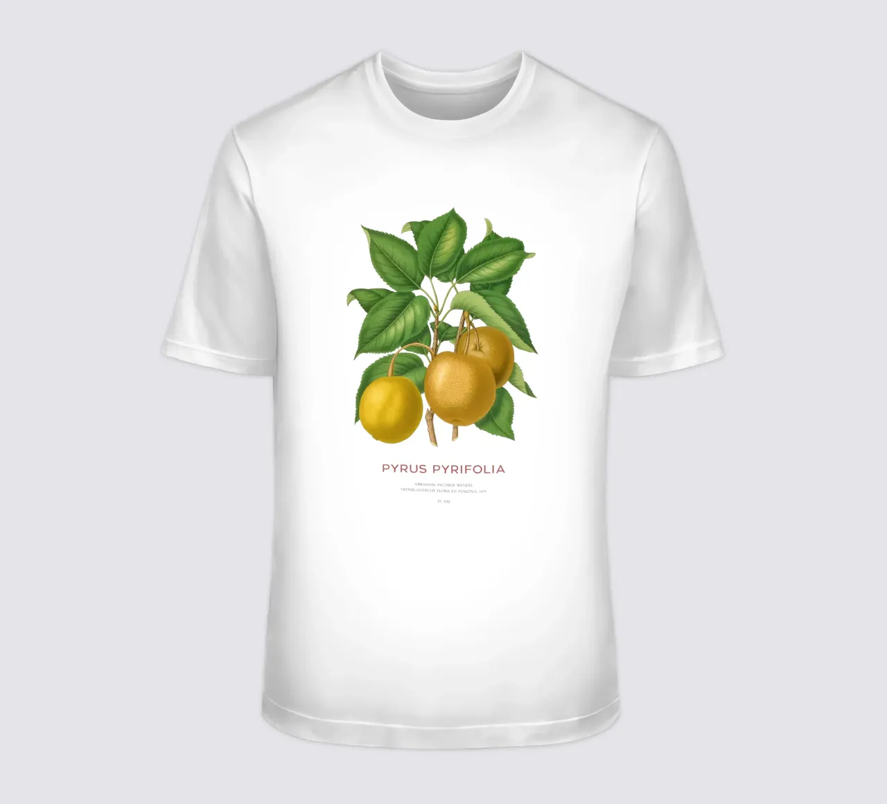 Pero giapponese o Pyrus pyrifolia t-shirt da Vintagrafica