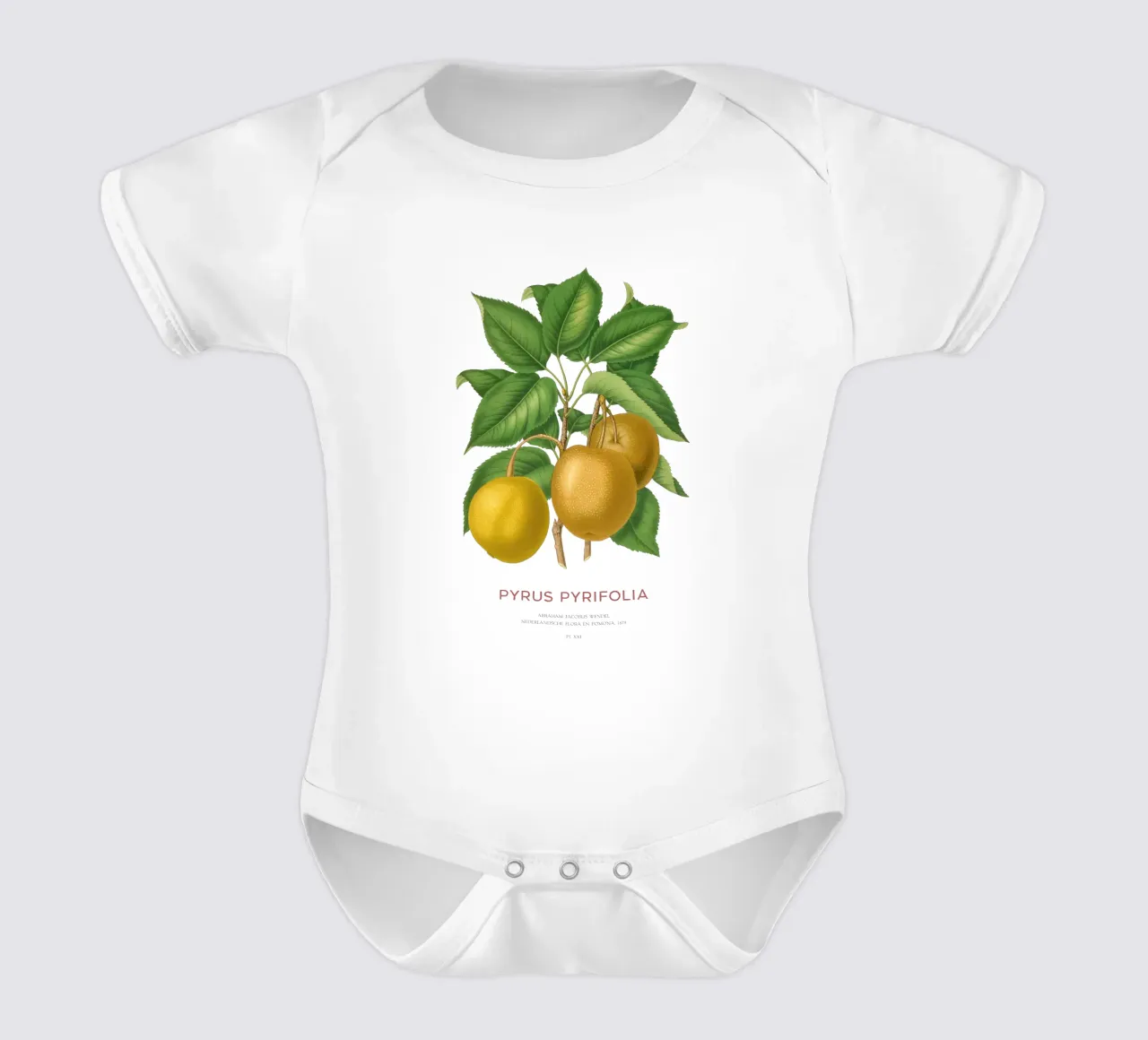 Pero giapponese o Pyrus pyrifolia body neonato maniche corte da Vintagrafica