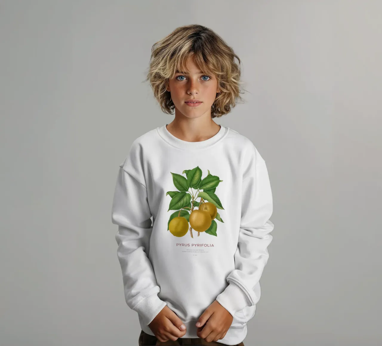 Pero giapponese o Pyrus pyrifolia felpa bambino da Vintagrafica