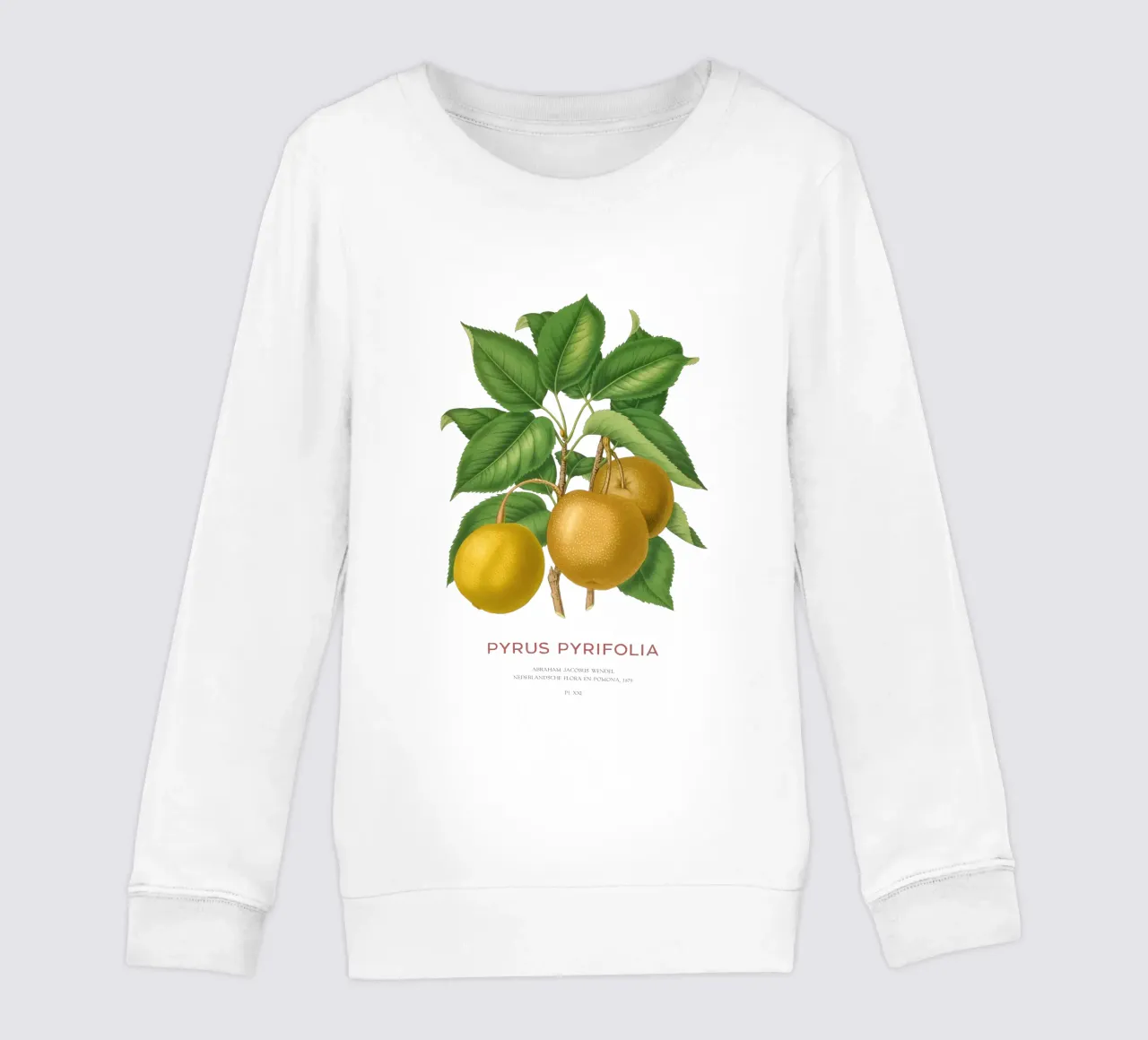 Pero giapponese o Pyrus pyrifolia felpa bambino da Vintagrafica
