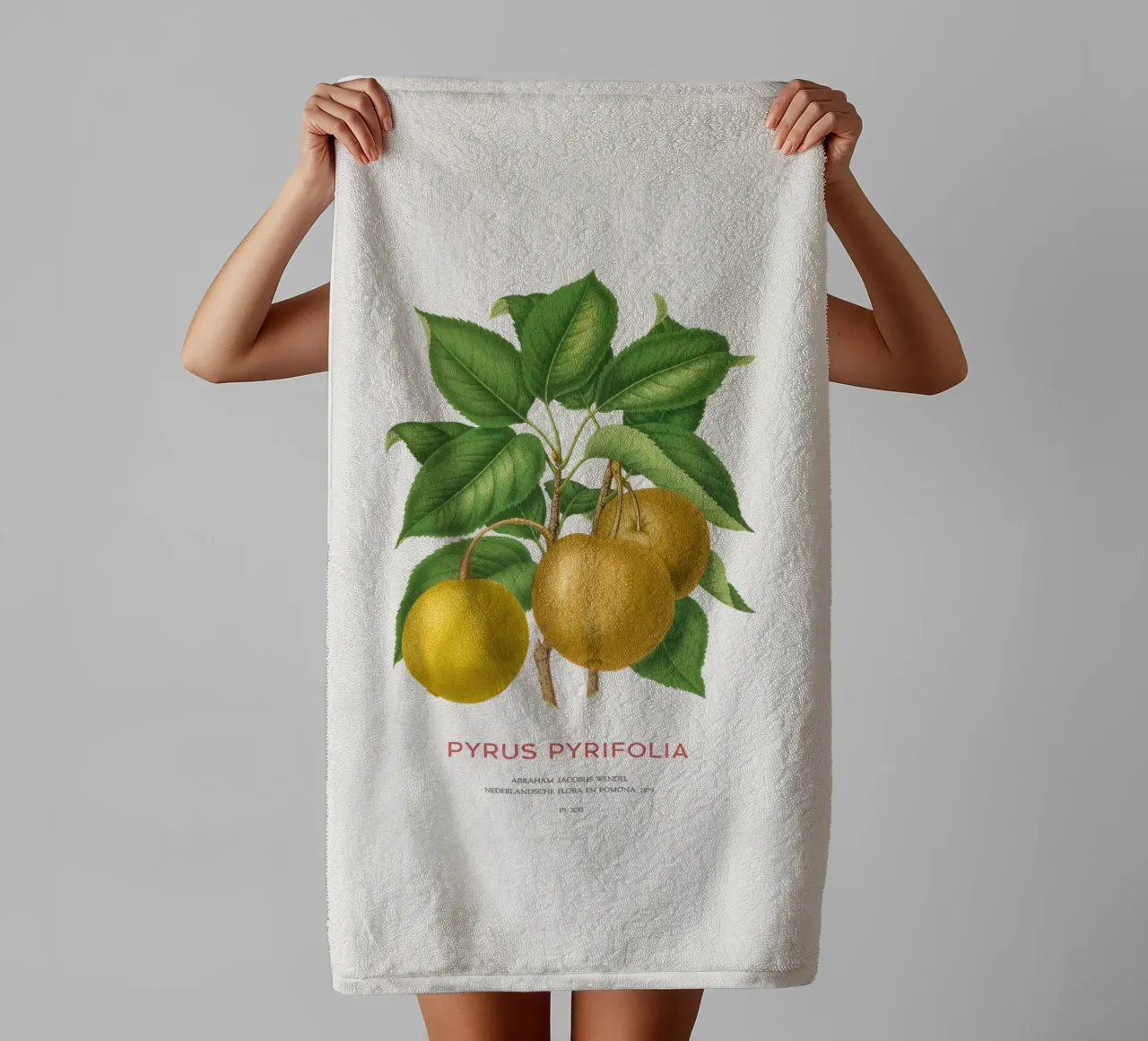 Pero giapponese o Pyrus pyrifolia asciugamano da bagno da Vintagrafica
