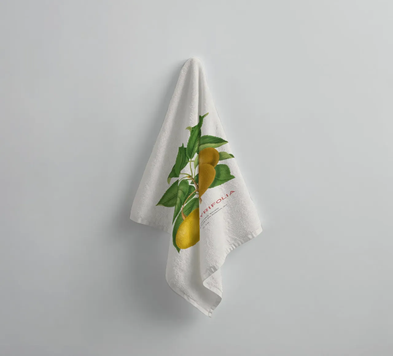 Pero giapponese o Pyrus pyrifolia asciugamano da bagno da Vintagrafica