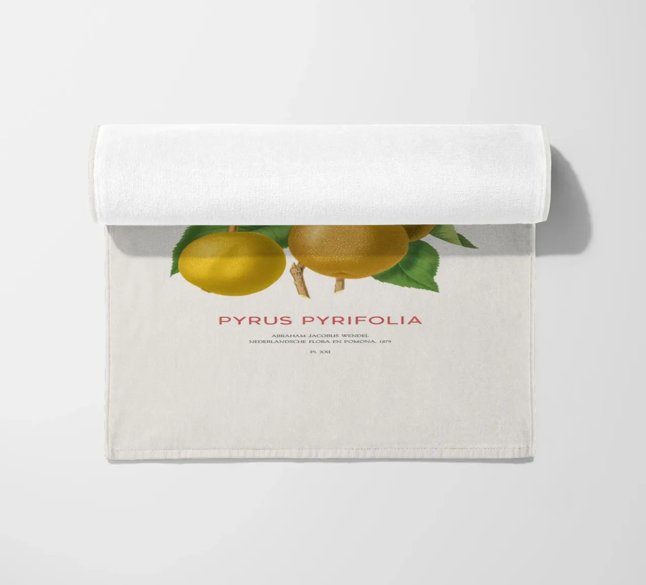 Pero giapponese o Pyrus pyrifolia telo mare da Vintagrafica
