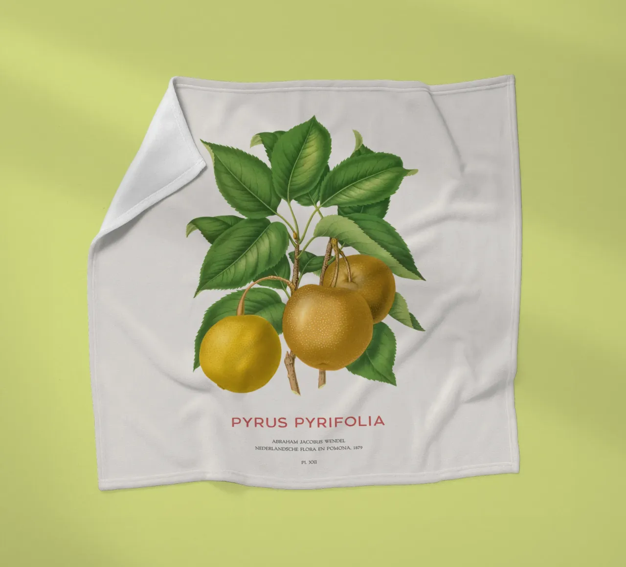 Japanese pear or Pyrus pyrifolia fleece blanket by Vintagrafica