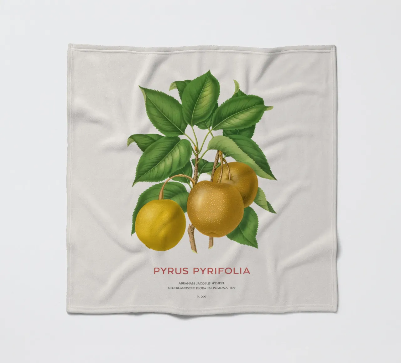 Japanese pear or Pyrus pyrifolia fleece blanket by Vintagrafica