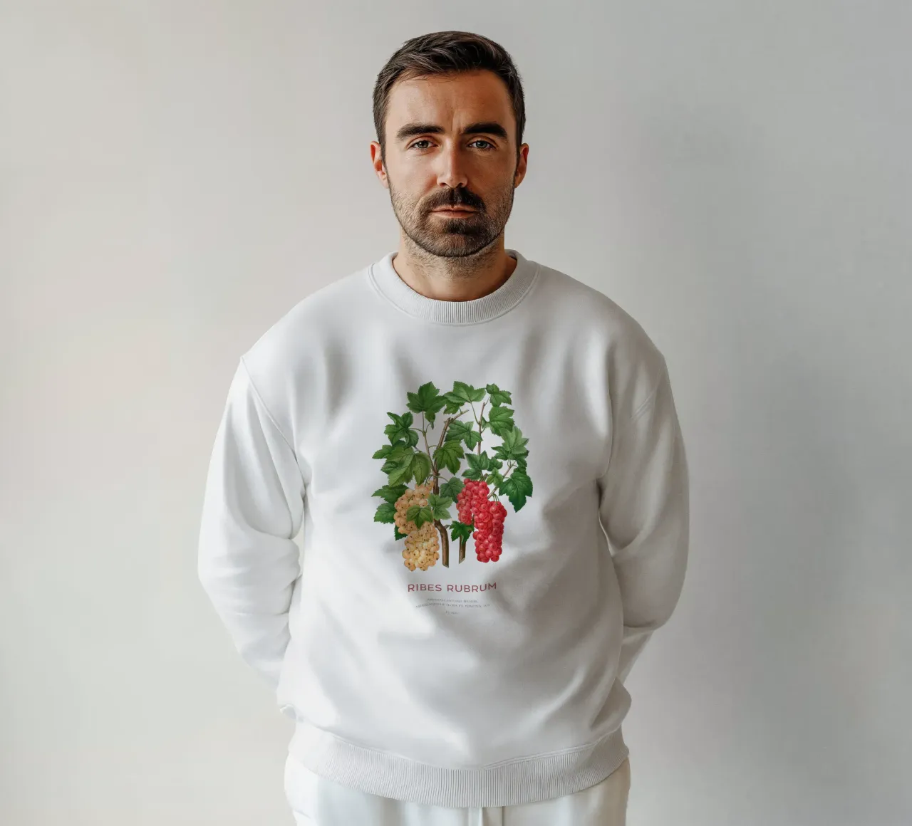 Ribes rosso o Ribes rubrum felpa da Vintagrafica