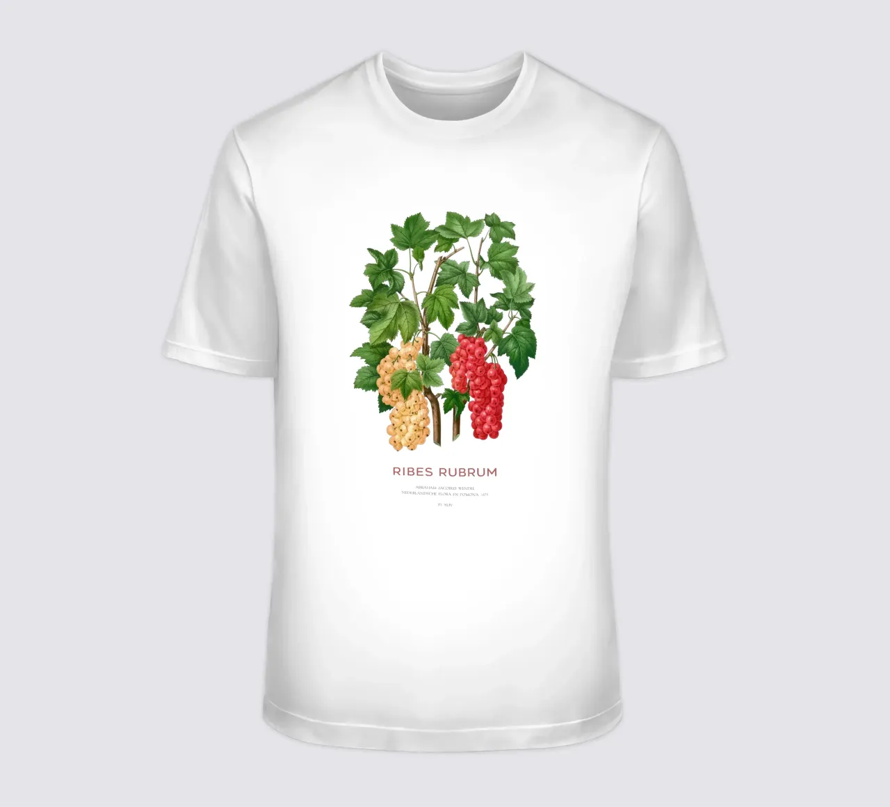 Ribes rosso o Ribes rubrum t-shirt da Vintagrafica
