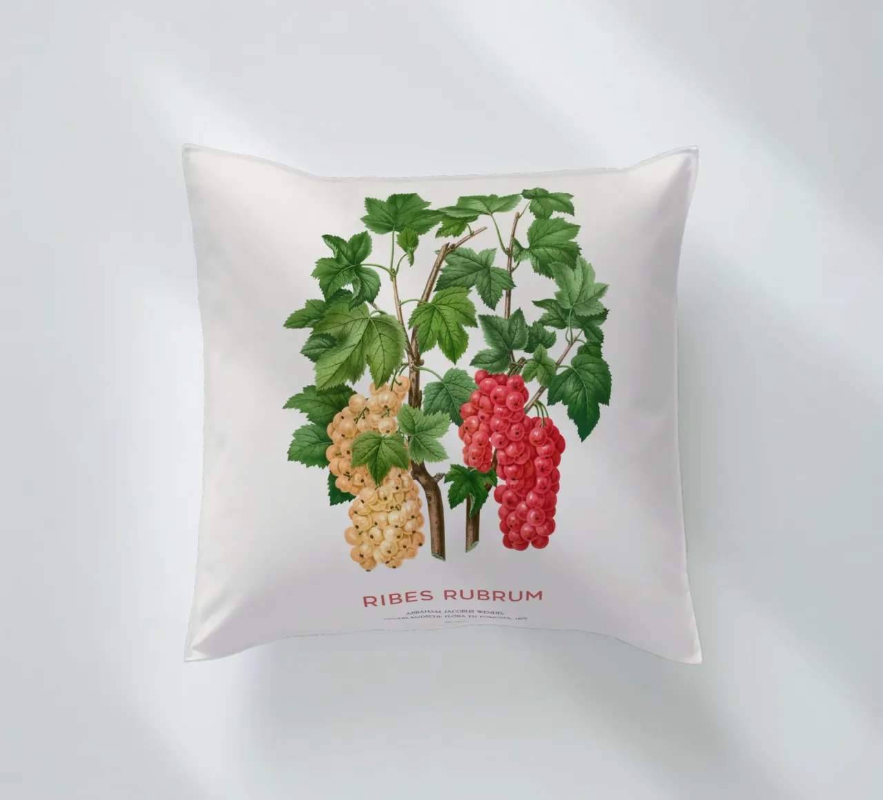 Ribes rosso o Ribes rubrum cuscino da Vintagrafica