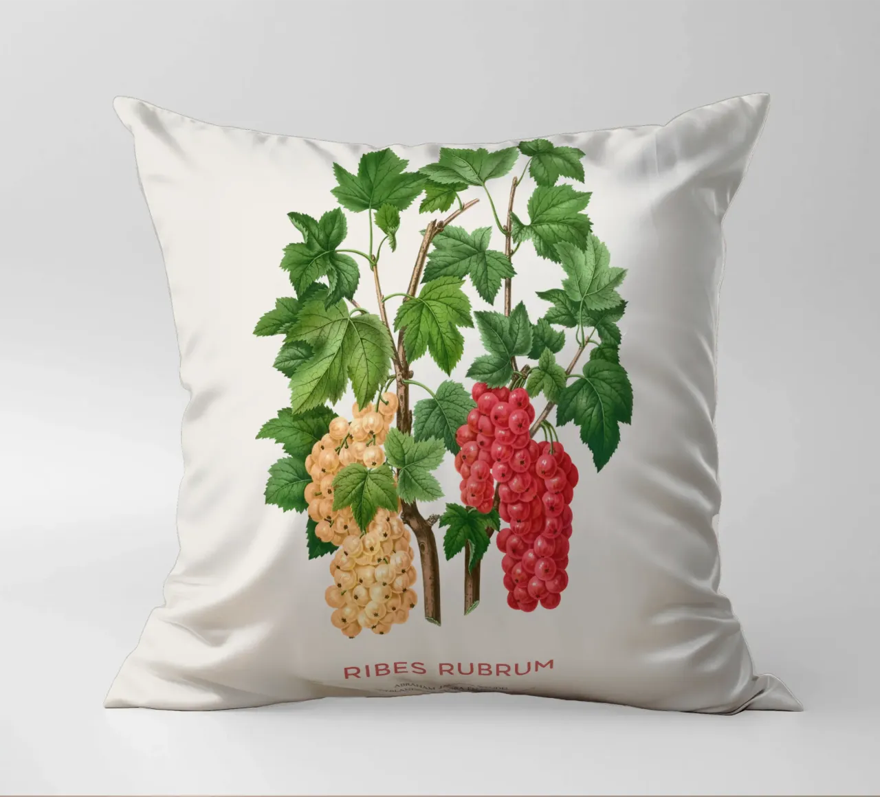 Ribes rosso o Ribes rubrum cuscino da Vintagrafica