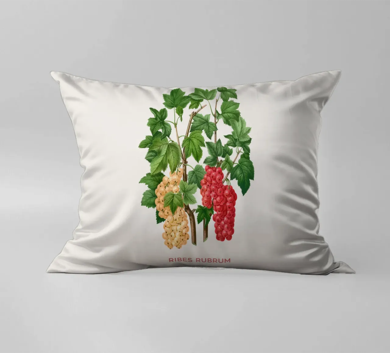 Ribes rosso o Ribes rubrum cuscino da Vintagrafica