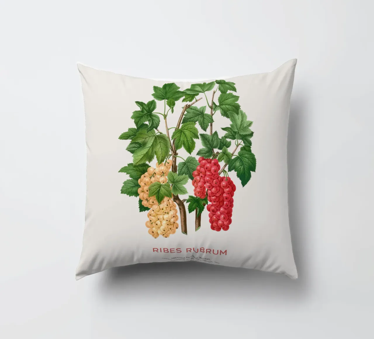 Ribes rosso o Ribes rubrum cuscino da Vintagrafica