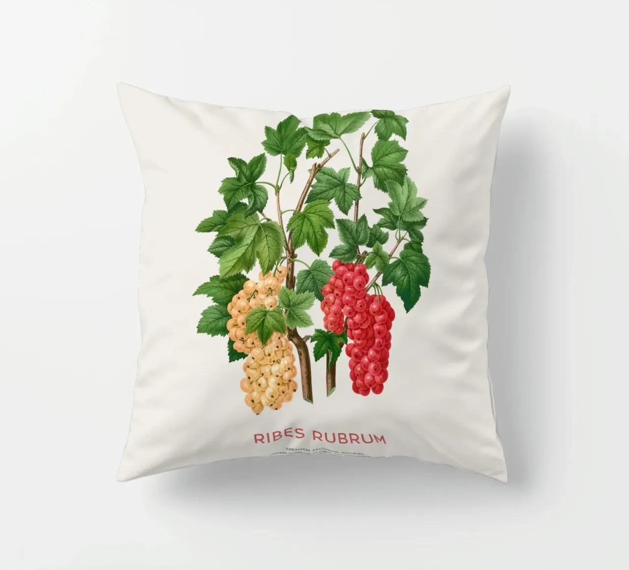 Ribes rosso o Ribes rubrum cuscino da Vintagrafica