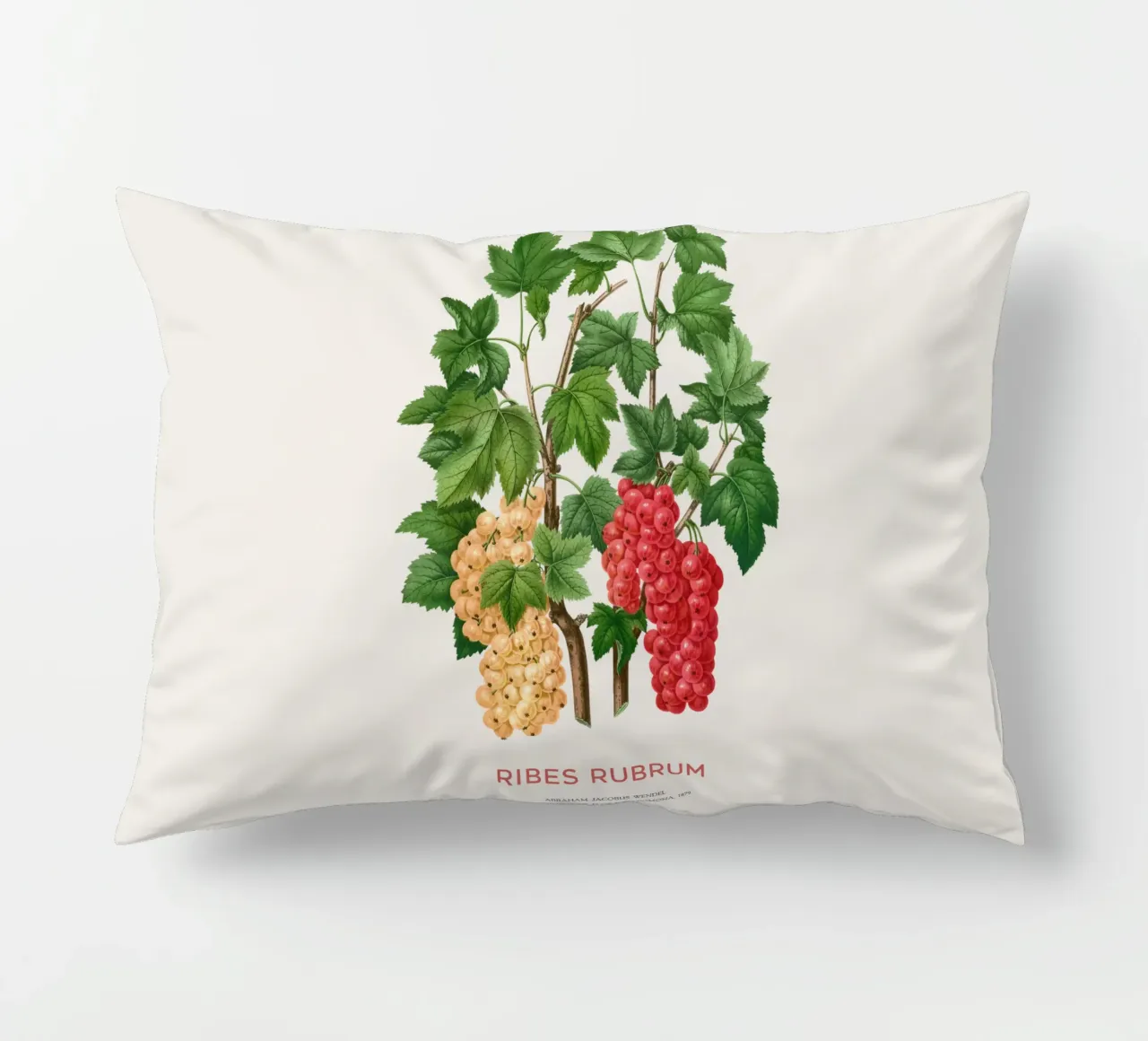 Ribes rosso o Ribes rubrum cuscino da Vintagrafica