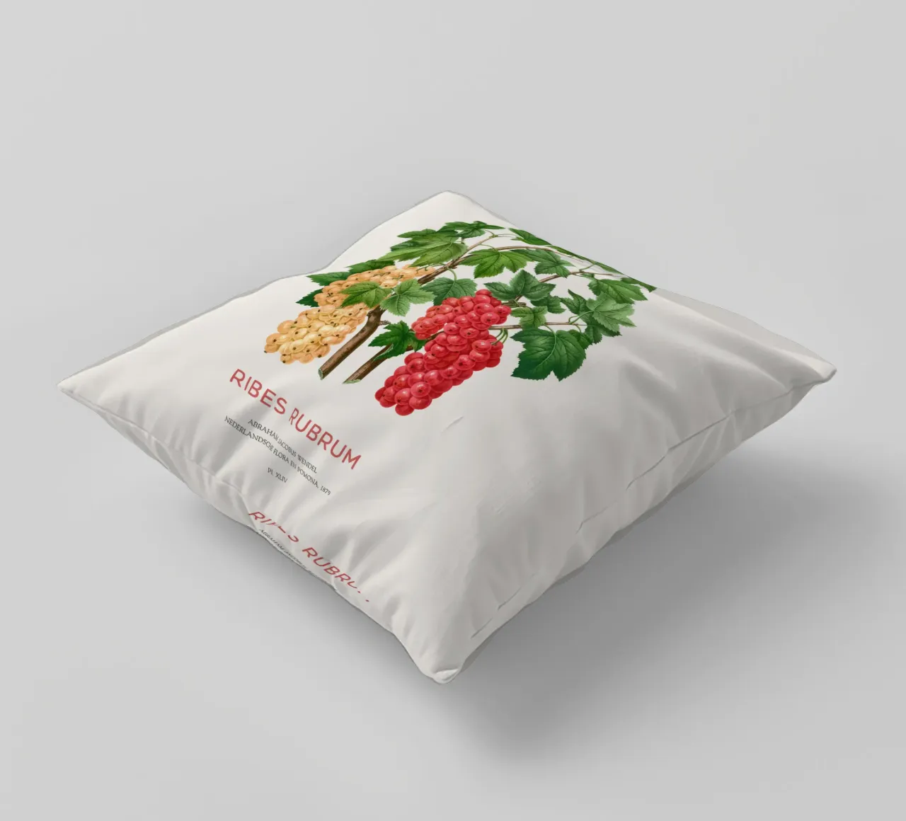 Ribes rosso o Ribes rubrum cuscino da Vintagrafica