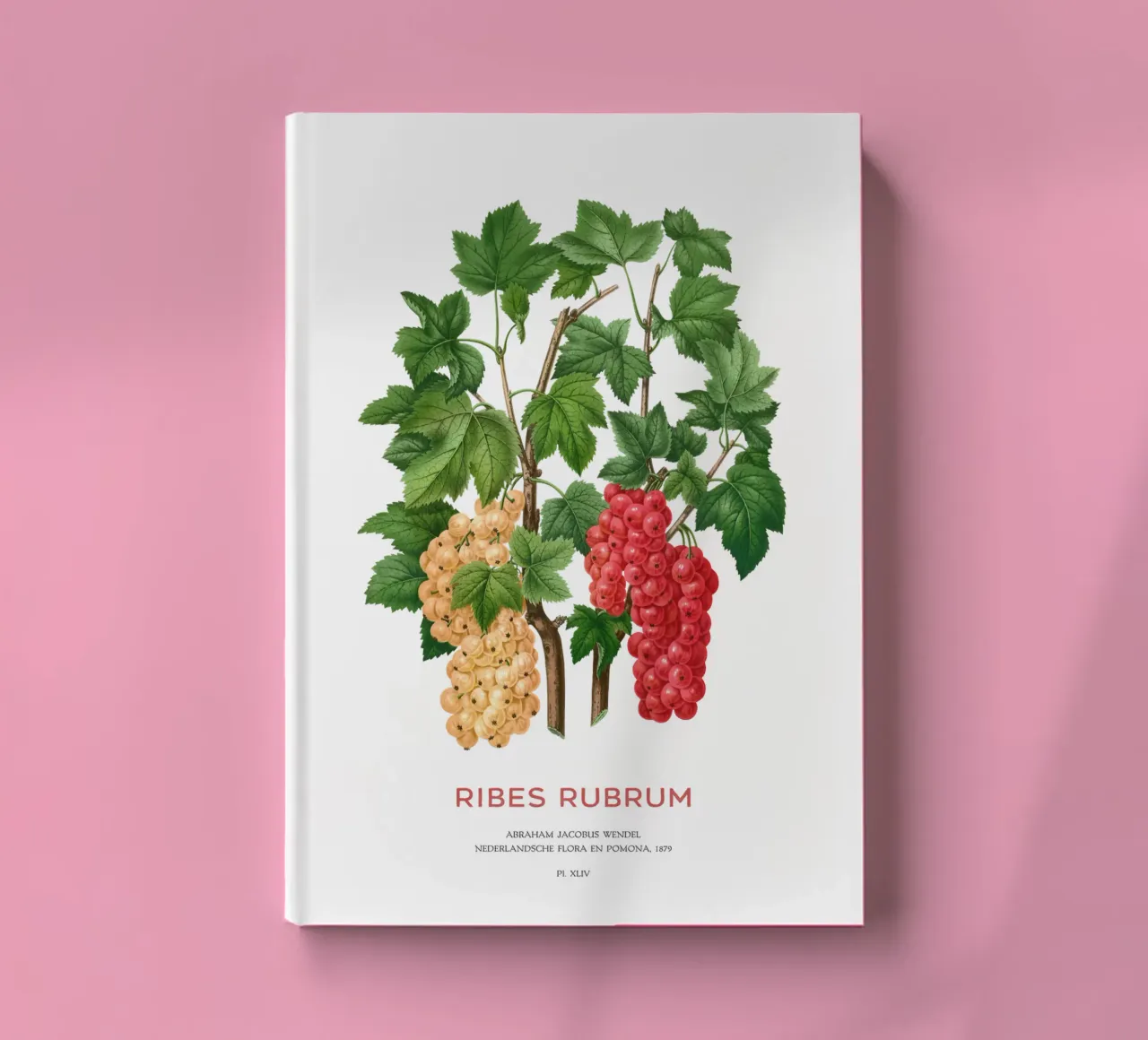 Red currant or Ribes rubrum notebook by Vintagrafica