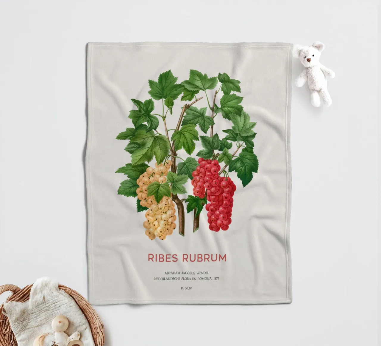 Ribes rosso o Ribes rubrum coperta in pile da Vintagrafica