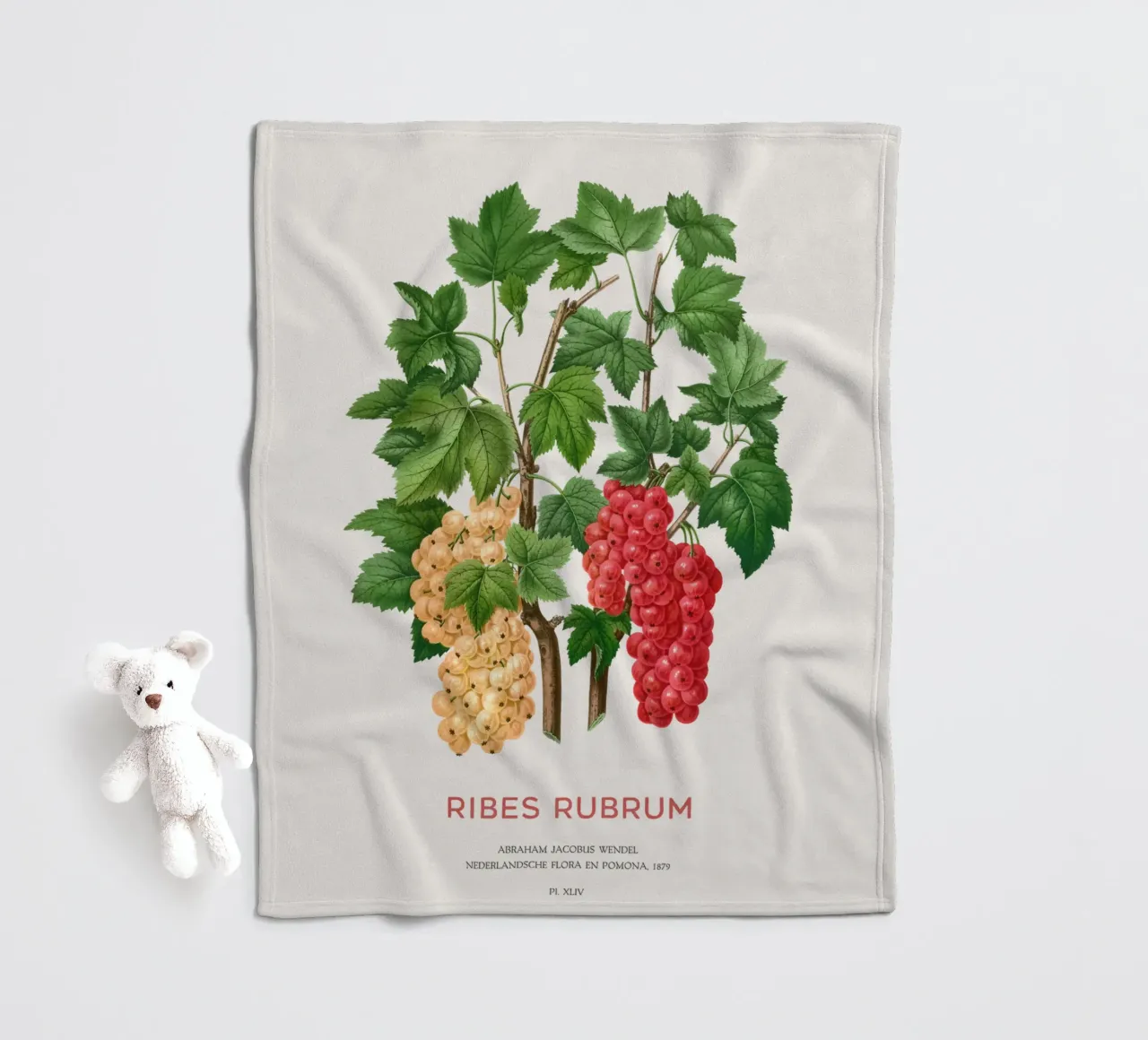 Ribes rosso o Ribes rubrum coperta in pile da Vintagrafica