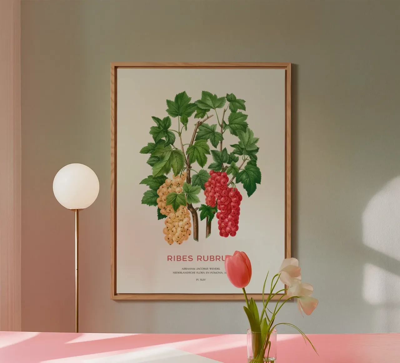 Red currant or Ribes rubrum forex plate by Vintagrafica
