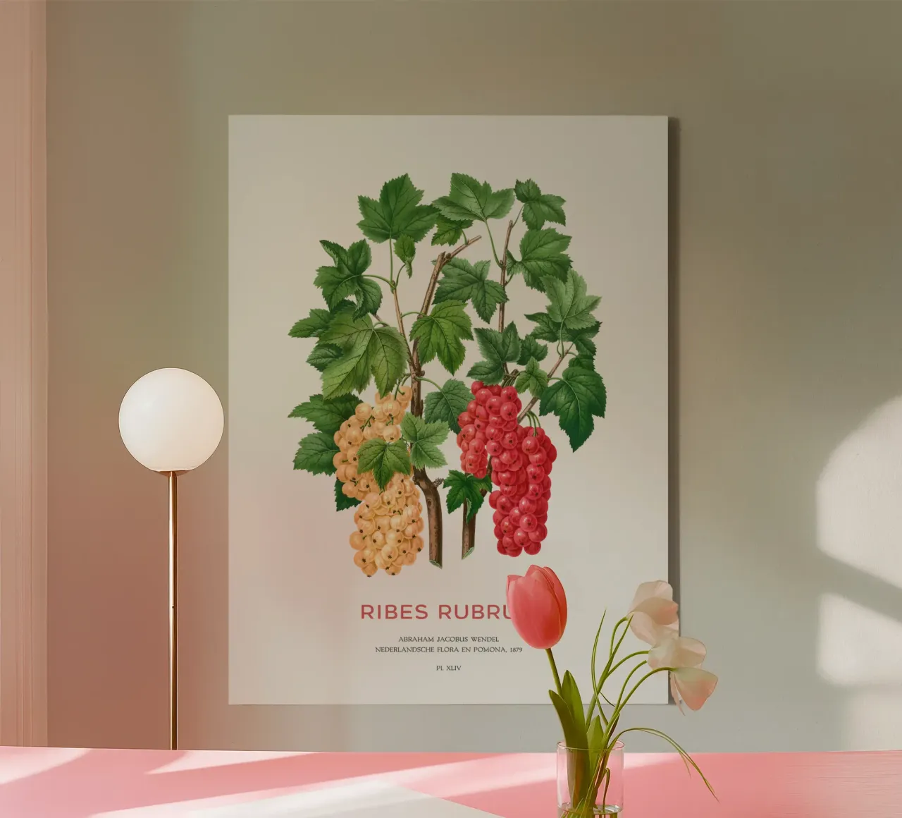 Red currant or Ribes rubrum canvas by Vintagrafica