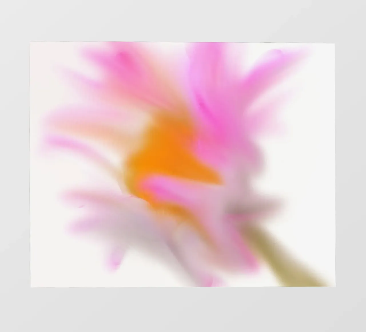 Fiore rosa, dipinto in modo simile all'acquerello pellicola backlit da Something for you