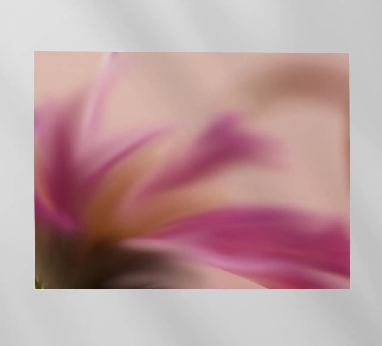Fiore rosa sfocato, simile all'acquerello pellicola backlit da Something for you