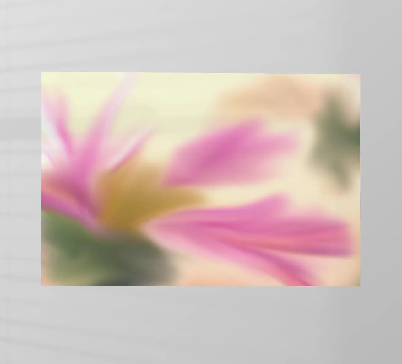 Fiore rosa sfocato, simile all'acquerello pellicola backlit da Something for you