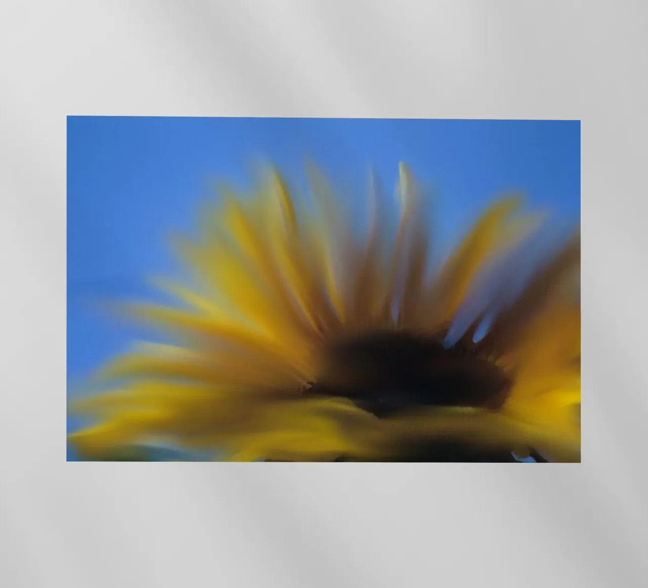 Girasole sfocato, simile all'acquerello pellicola backlit da Something for you