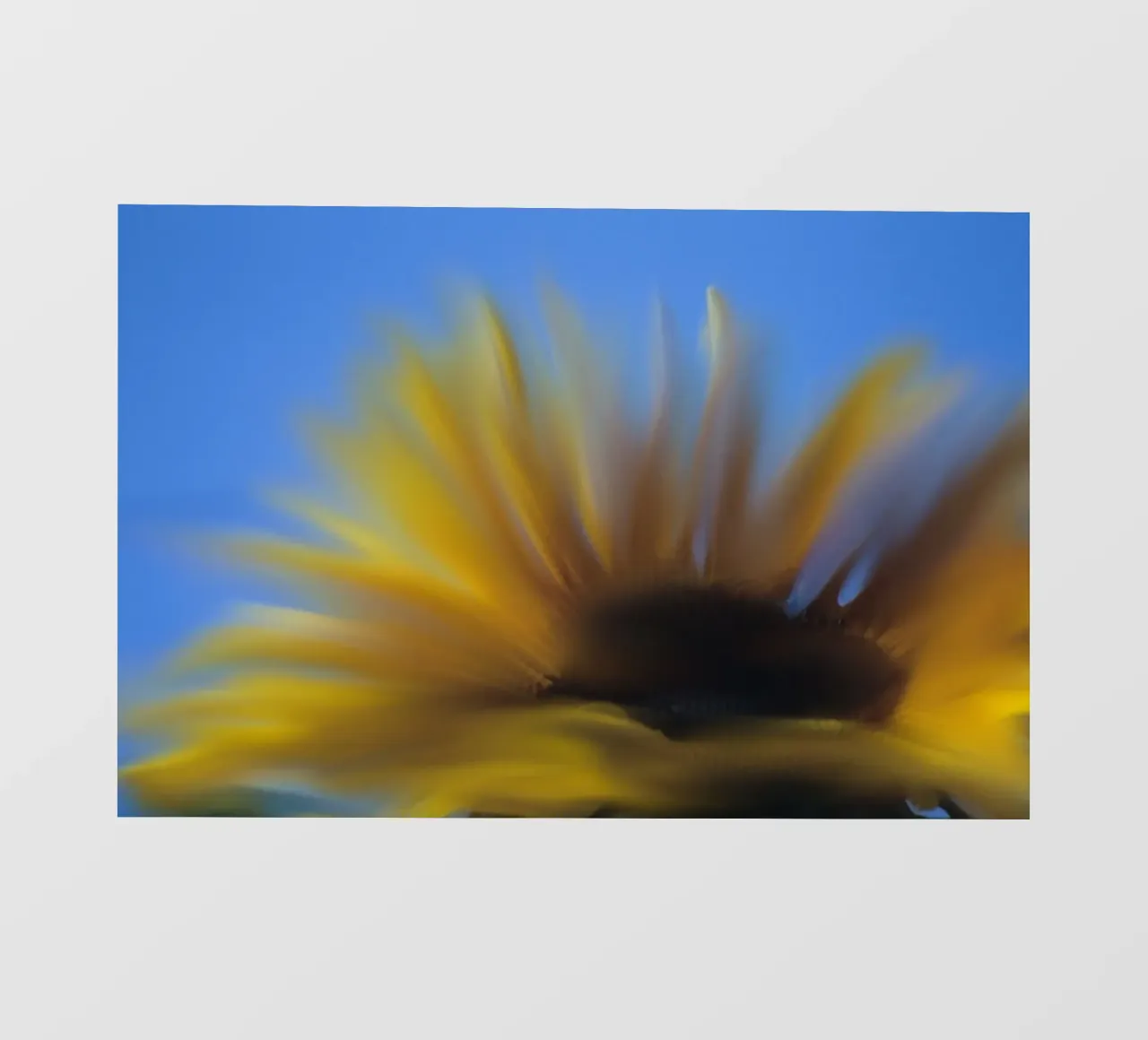 Girasole sfocato, simile all'acquerello pellicola backlit da Something for you
