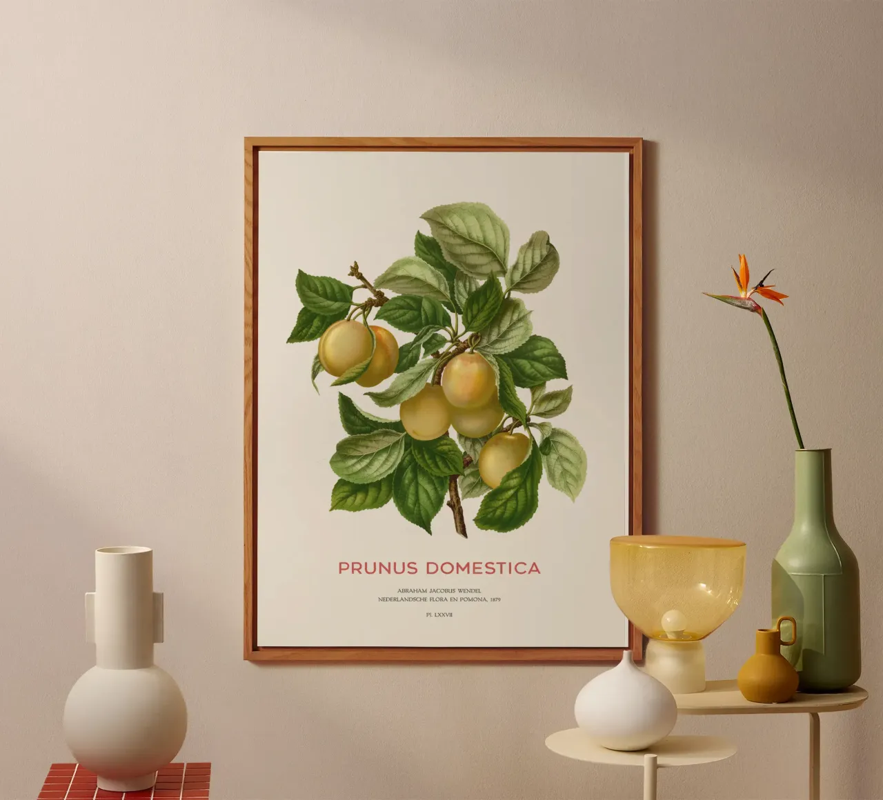 Prugna o Prunus domestica pannello forex da Vintagrafica