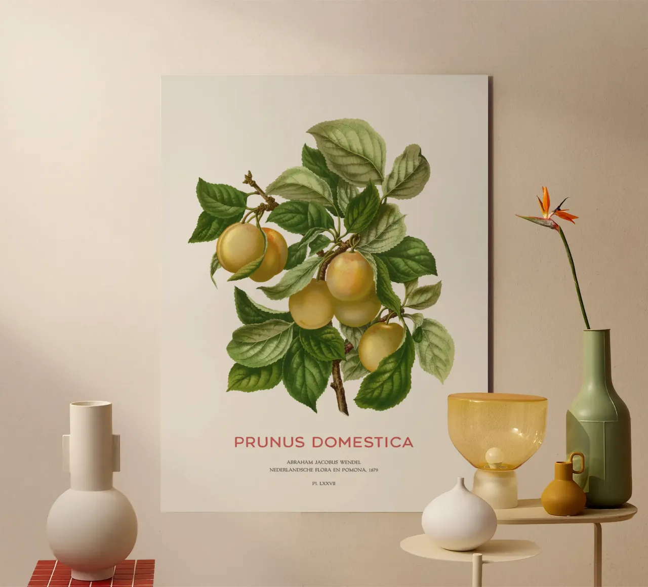 Prugna o Prunus domestica pannello forex da Vintagrafica