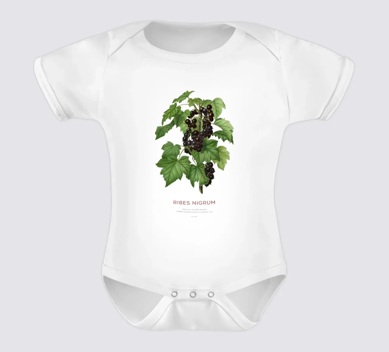 Ribes nero o Ribes nigrum body neonato maniche corte da Vintagrafica