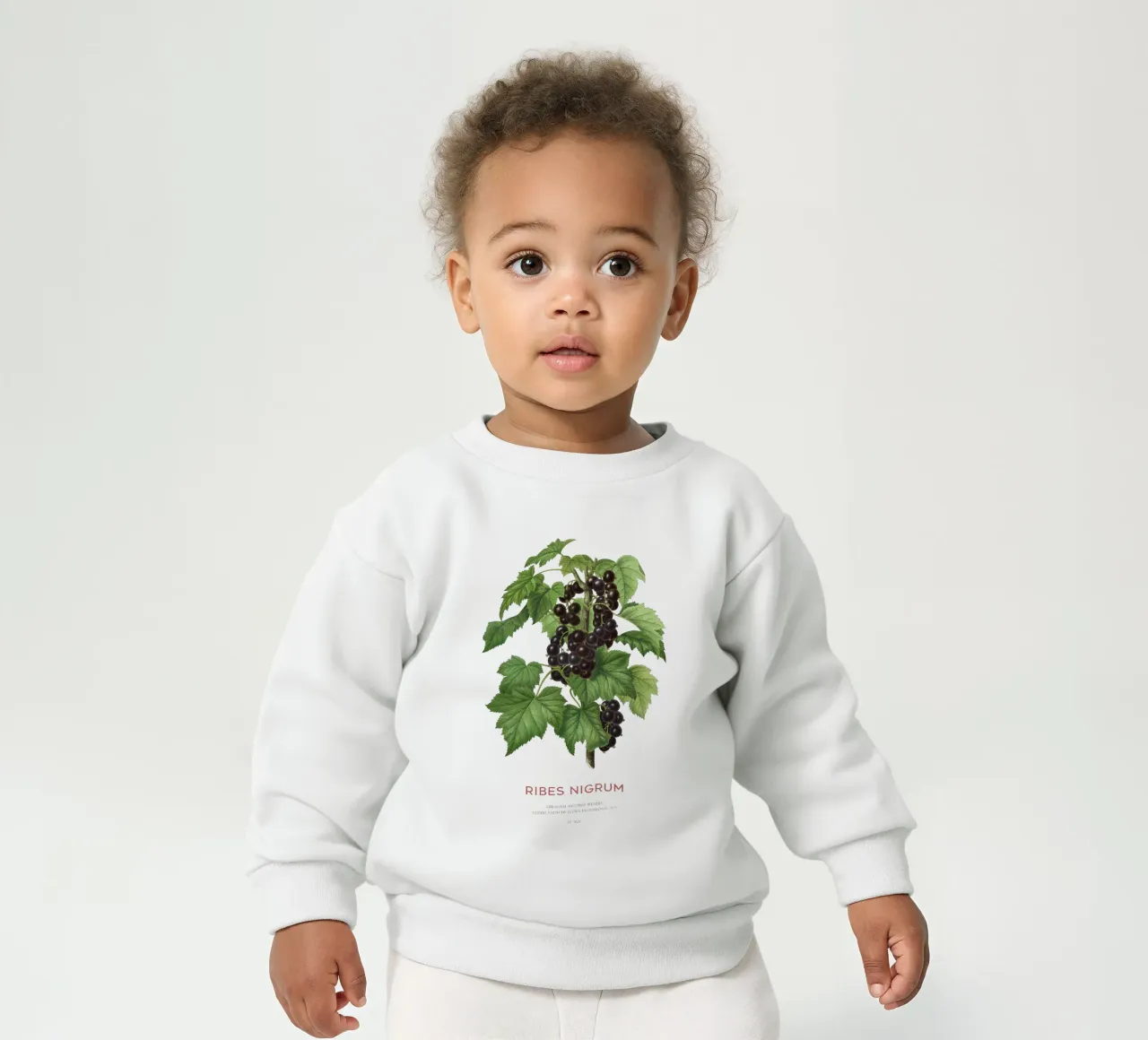 Ribes nero o Ribes nigrum felpa neonato da Vintagrafica