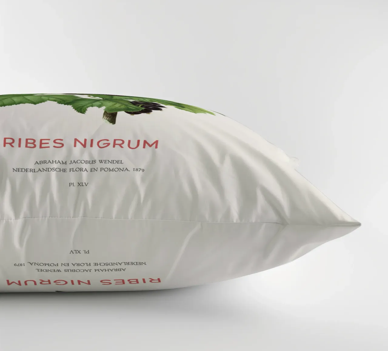 Ribes nero o Ribes nigrum cuscino da Vintagrafica