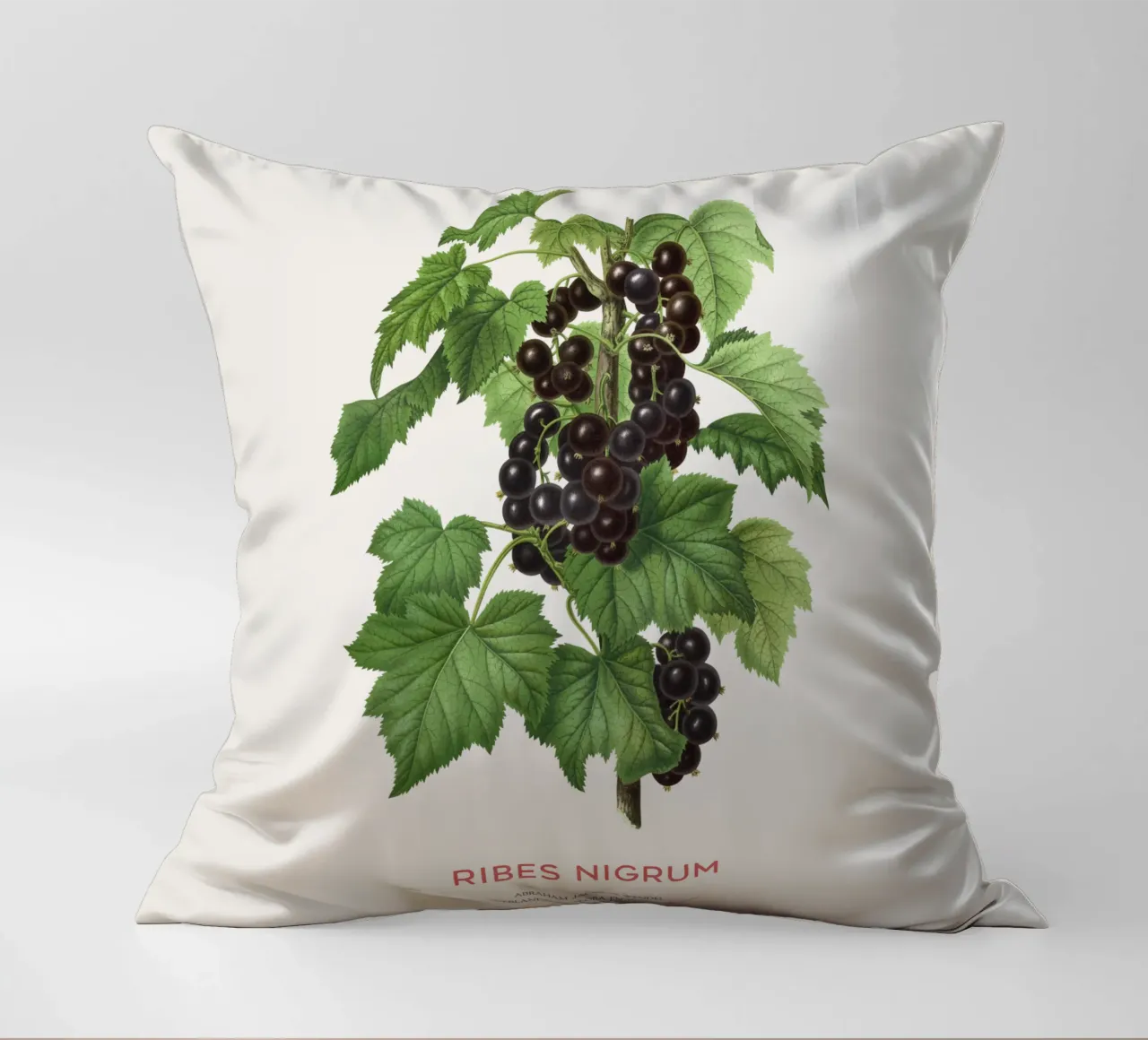 Ribes nero o Ribes nigrum cuscino da Vintagrafica